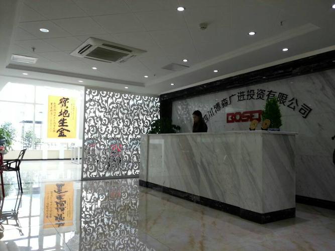 四川博森广进投资管理